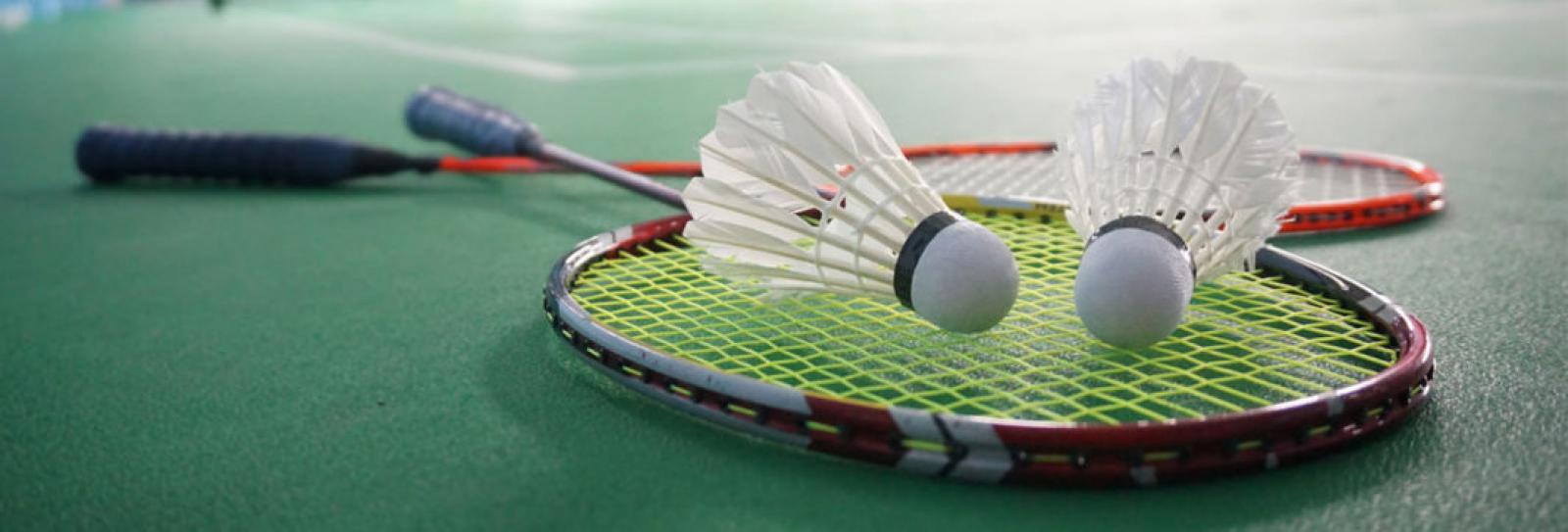 Le badminton